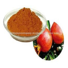 Pomegranate extract powder